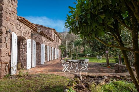 Landejendom i Puget-Théniers, Alpes-Maritimes, Puget-Théniers - € 530.000 | Ref: 85519906 - foto 17