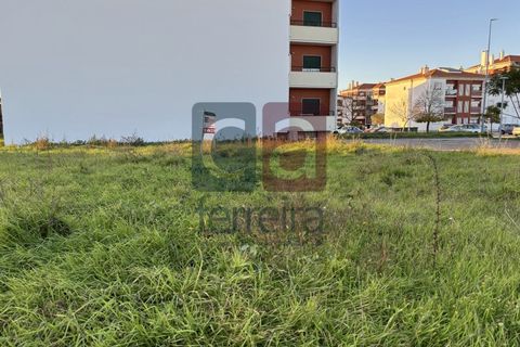 Helårsgrund i Alpiarca, Santarem, Alpiarca - € 78.000 | Ref: TERR4331 - foto 2