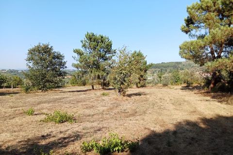 Helårsgrund i Mangualde, Viseu, Mangualde - € 27.500 | Ref: 389240168 - foto 1