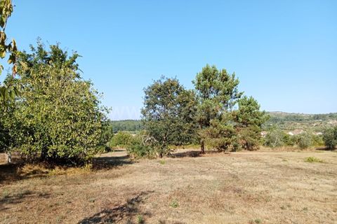 Helårsgrund i Mangualde, Viseu, Mangualde - € 27.500 | Ref: 389240168 - foto 2
