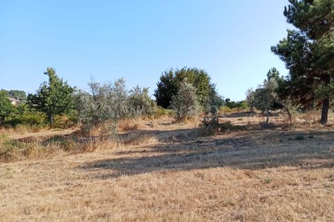 Helårsgrund i Mangualde, Viseu, Mangualde - € 27.500 | Ref: 389240168 - foto 6