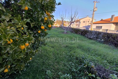 Byhus i Penalva do Castelo, Viseu, Penalva do Castelo - € 45.000 | Ref: 389240162 - foto 21