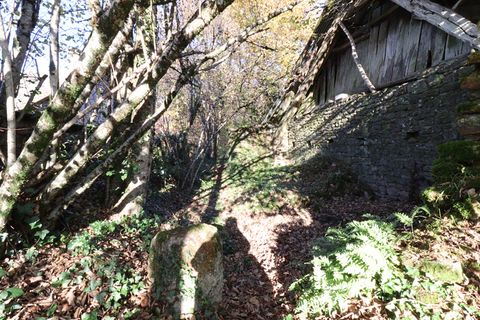 Villa a Saint-Augustin, Correze, Saint-Augustin - € 35.000 | Ref: CC-4563 - foto 8