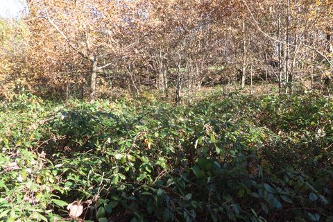 Villa a Saint-Augustin, Correze, Saint-Augustin - € 35.000 | Ref: CC-4563 - foto 9