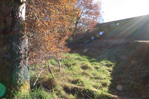 Villa a Saint-Augustin, Correze, Saint-Augustin - € 35.000 | Ref: CC-4563 - foto 10