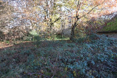 Villa a Saint-Augustin, Correze, Saint-Augustin - € 35.000 | Ref: CC-4563 - foto 11