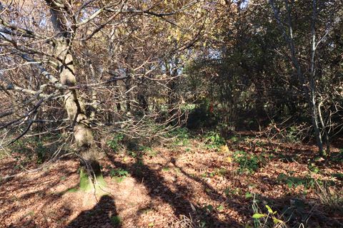 Villa a Saint-Augustin, Correze, Saint-Augustin - € 35.000 | Ref: CC-4563 - foto 12