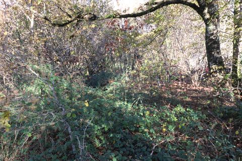 Villa a Saint-Augustin, Correze, Saint-Augustin - € 35.000 | Ref: CC-4563 - foto 14