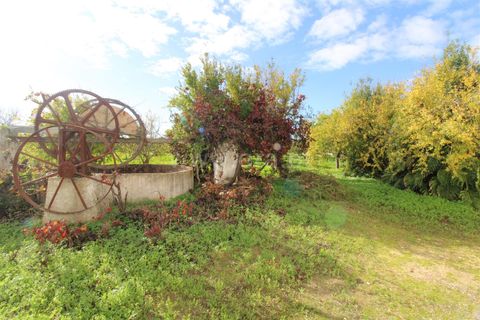 Byhus i Faro, Faro, Faro - € 690.000 | Ref: 402240135 - foto 3