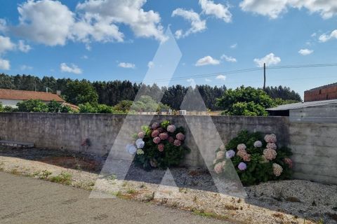 Helårsgrund i Ilhavo, Aveiro, Ilhavo - € 97.000 | Ref: 1021049/24 FR - foto 1