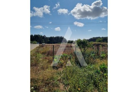 Helårsgrund i Ilhavo, Aveiro, Ilhavo - € 97.000 | Ref: 1021049/24 FR - foto 2