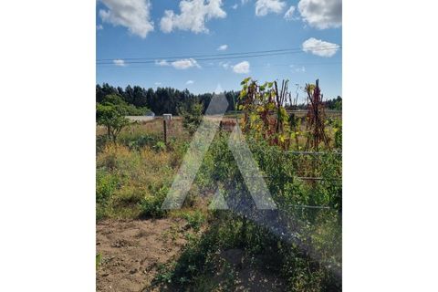Helårsgrund i Ilhavo, Aveiro, Ilhavo - € 97.000 | Ref: 1021049/24 FR - foto 3