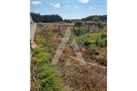 Helårsgrund i Ilhavo, Aveiro, Ilhavo - € 97.000 | Ref: 1021049/24 FR - foto 4