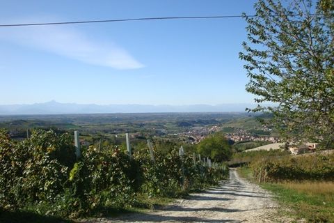 Villa a Dogliani, Cuneo, Dogliani - € 235.000 | Ref: D026.08 - foto 11
