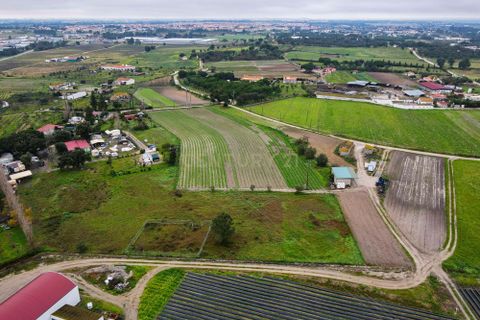 Helårsgrund i Palmela, Setubal, Palmela - € 105.000 | Ref: 1669-01253 - foto 1