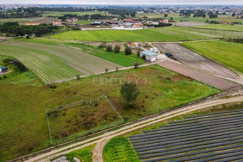 Helårsgrund i Palmela, Setubal, Palmela - € 105.000 | Ref: 1669-01253 - foto 4