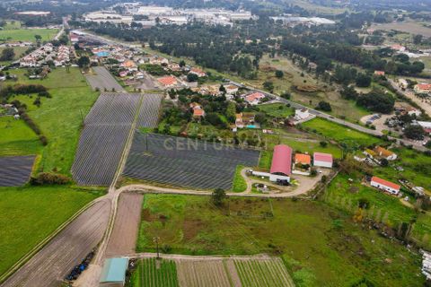 Helårsgrund i Palmela, Setubal, Palmela - € 105.000 | Ref: 1669-01253 - foto 9