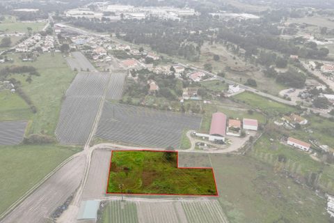 Helårsgrund i Palmela, Setubal, Palmela - € 105.000 | Ref: 1669-01253 - foto 10