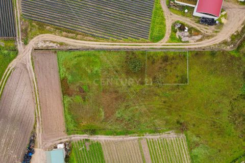 Helårsgrund i Palmela, Setubal, Palmela - € 105.000 | Ref: 1669-01253 - foto 11