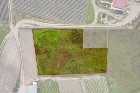 Helårsgrund i Palmela, Setubal, Palmela - € 105.000 | Ref: 1669-01253 - foto 12
