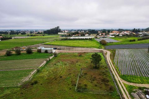 Helårsgrund i Palmela, Setubal, Palmela - € 105.000 | Ref: 1669-01253 - foto 15