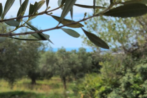 Villa a Camerota, Salerno, Camerota - € 480.000 | Ref: ABCCam001 - foto 3