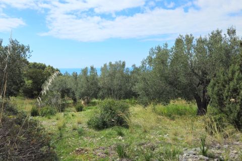 Villa a Camerota, Salerno, Camerota - € 480.000 | Ref: ABCCam001 - foto 10