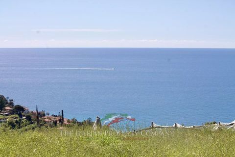 Terra a Ospedaletti, Imperia, Ospedaletti - € 180.000 | Ref: T217 - foto 6