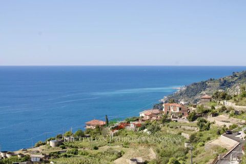 Terra a Ospedaletti, Imperia, Ospedaletti - € 180.000 | Ref: T217 - foto 7
