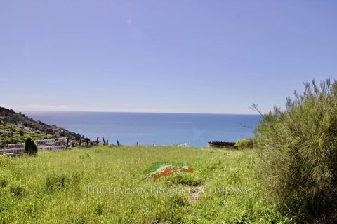 Terra a Ospedaletti, Imperia, Ospedaletti - € 180.000 | Ref: T217 - foto 8