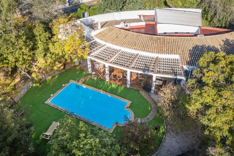 Villa i Lagoa, Faro, Lagoa - € 1.000.000 | Ref: EAV-3927 - foto 6