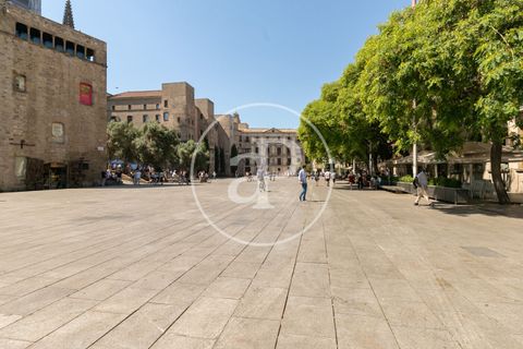 Terra a Barcelona, Barcelona, Barcelona - € 3.950.000 | Ref: VB2406017 - foto 17