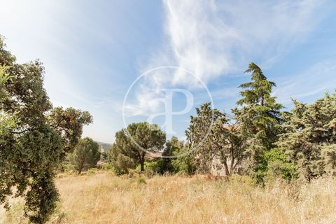 Terra a Torrelodones, Madrid, Torrelodones - € 550.000 | Ref: VMO2409018 - foto 4