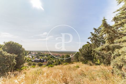Terra a Torrelodones, Madrid, Torrelodones - € 550.000 | Ref: VMO2409018 - foto 5
