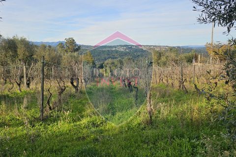 Helårsgrund i Viseu, Viseu, Viseu - € 39.000 | Ref: 2136/V - foto 2