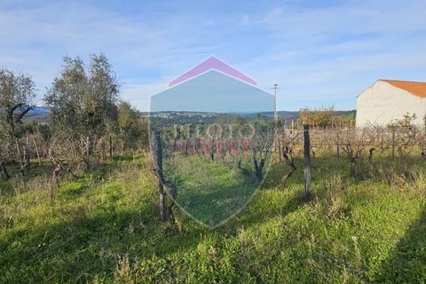 Helårsgrund i Viseu, Viseu, Viseu - € 39.000 | Ref: 2136/V - foto 3