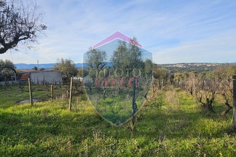 Helårsgrund i Viseu, Viseu, Viseu - € 39.000 | Ref: 2136/V - foto 4