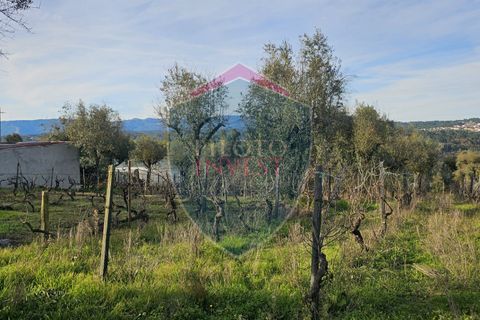 Helårsgrund i Viseu, Viseu, Viseu - € 39.000 | Ref: 2136/V - foto 5