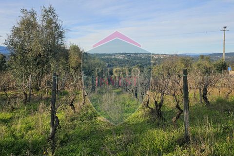 Helårsgrund i Viseu, Viseu, Viseu - € 39.000 | Ref: 2136/V - foto 6