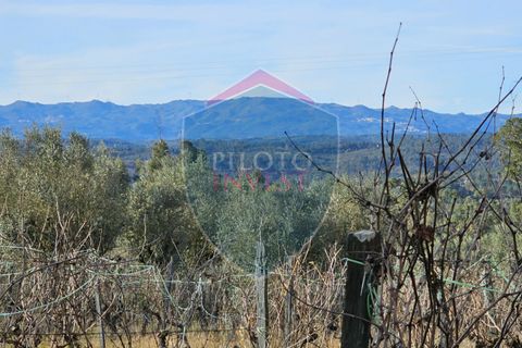 Helårsgrund i Viseu, Viseu, Viseu - € 39.000 | Ref: 2136/V - foto 7