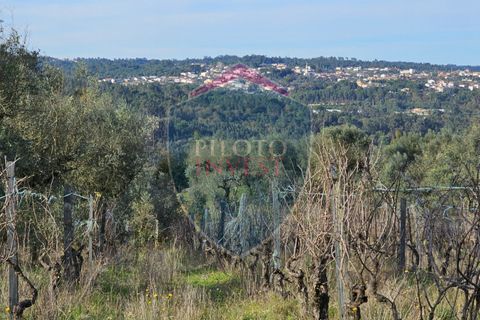 Helårsgrund i Viseu, Viseu, Viseu - € 39.000 | Ref: 2136/V - foto 8