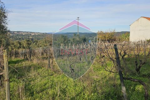 Helårsgrund i Viseu, Viseu, Viseu - € 39.000 | Ref: 2136/V - foto 9