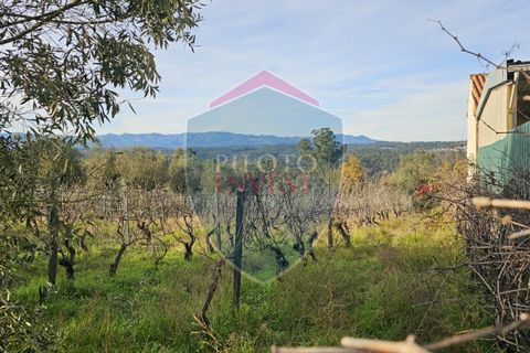 Helårsgrund i Viseu, Viseu, Viseu - € 39.000 | Ref: 2136/V - foto 10