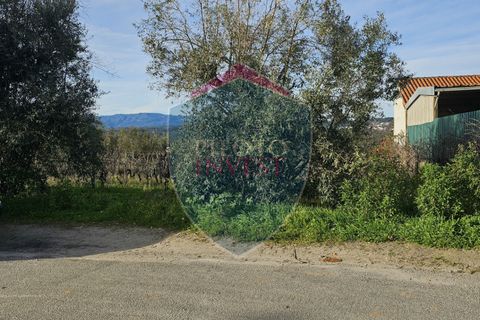 Helårsgrund i Viseu, Viseu, Viseu - € 39.000 | Ref: 2136/V - foto 13