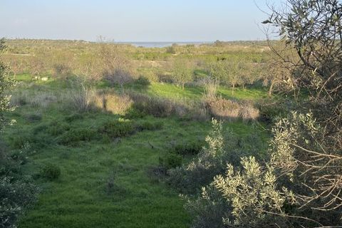 Helårsgrund i Noto, Siracusa, Noto - € 275.000 | Ref: Sichilli - foto 7