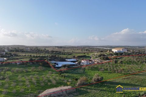 Helårsgrund i Noto, Siracusa, Noto - € 275.000 | Ref: Sichilli - foto 9