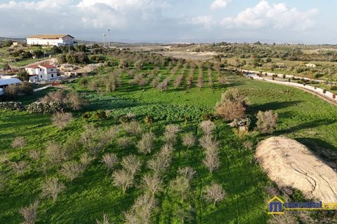 Helårsgrund i Noto, Siracusa, Noto - € 275.000 | Ref: Sichilli - foto 11