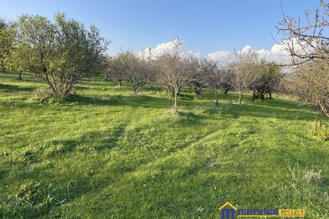 Helårsgrund i Noto, Siracusa, Noto - € 275.000 | Ref: Sichilli - foto 12