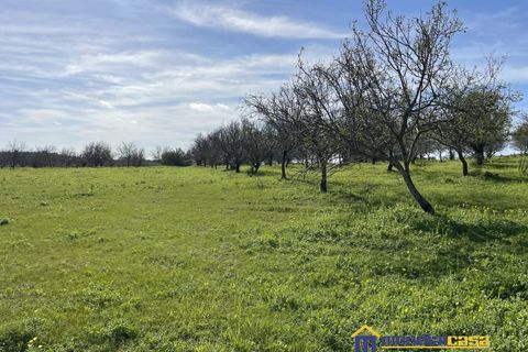 Helårsgrund i Noto, Siracusa, Noto - € 275.000 | Ref: Sichilli - foto 16