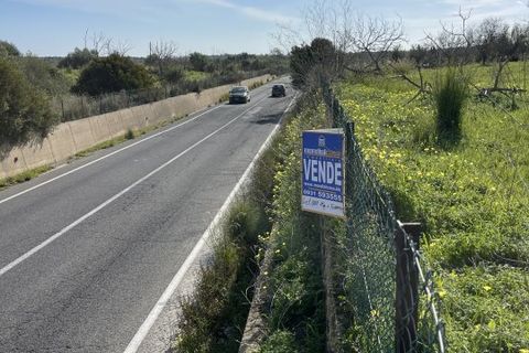 Helårsgrund i Noto, Siracusa, Noto - € 275.000 | Ref: Sichilli - foto 17